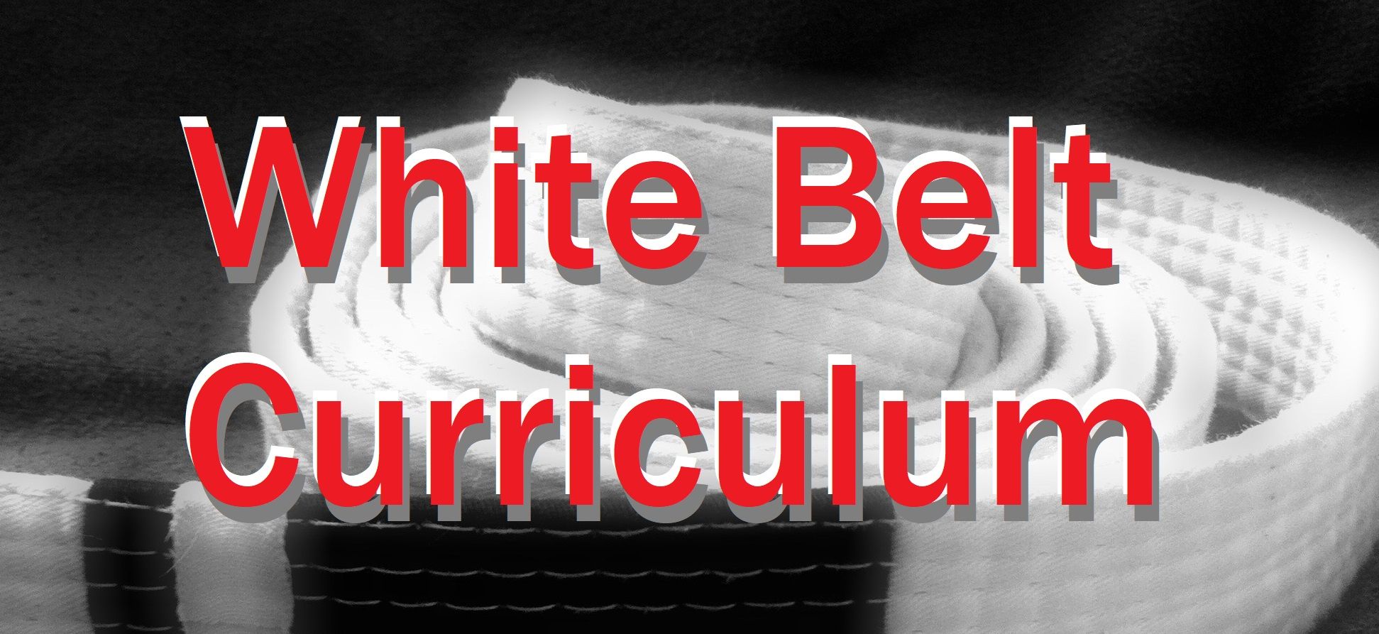 Bjj white cheap belt curriculum